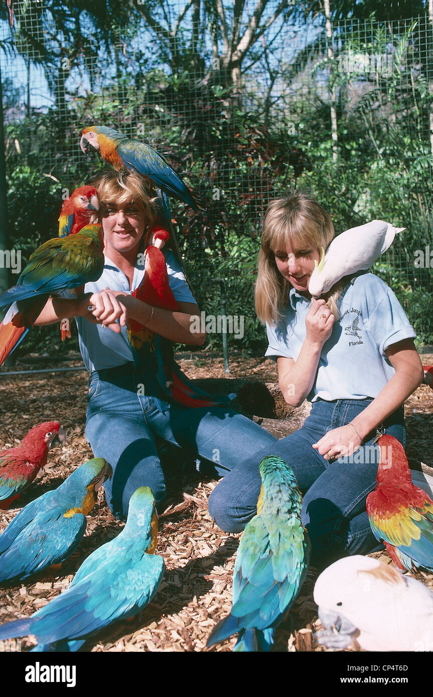 USA Florida Miami, Parrot Jungle, Bird Park Stock Photo Alamy