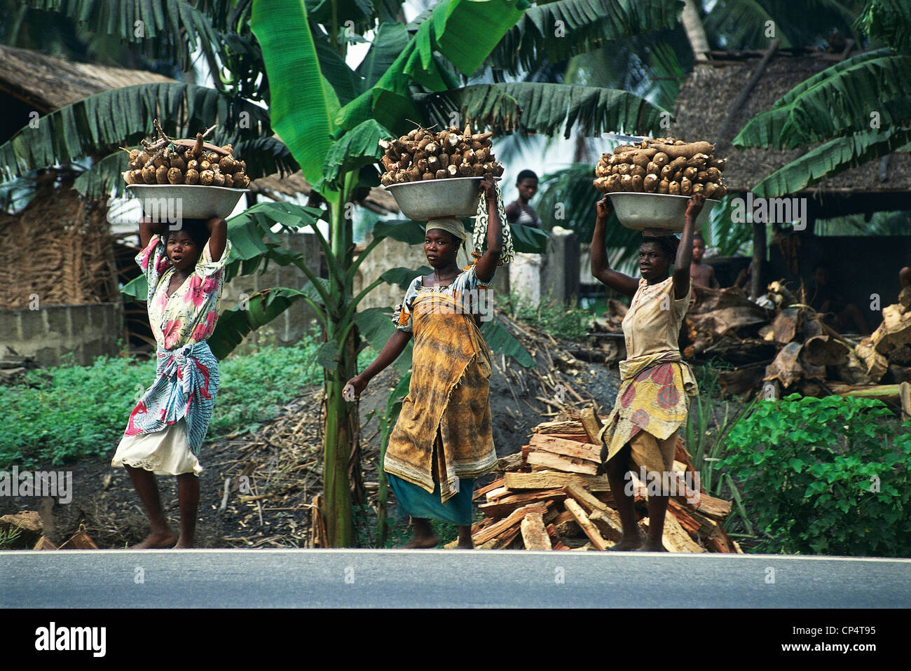 Ghana Greater Shama. Women carry the sugar cane harvest Stock Photo