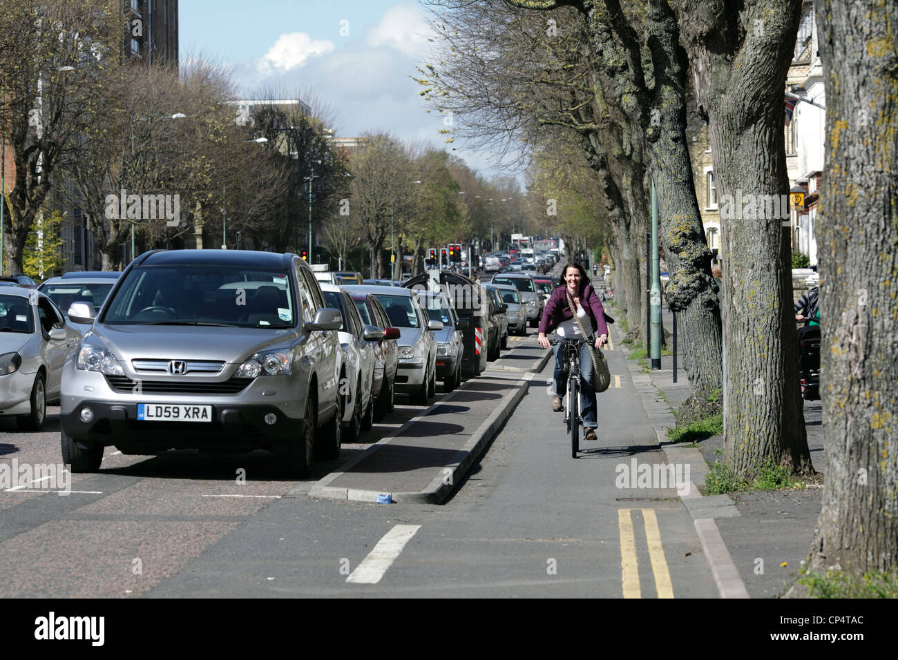 Cyclist riding along a bike lane separated from the adjoining road, The Drive, Hove. Stock Photo