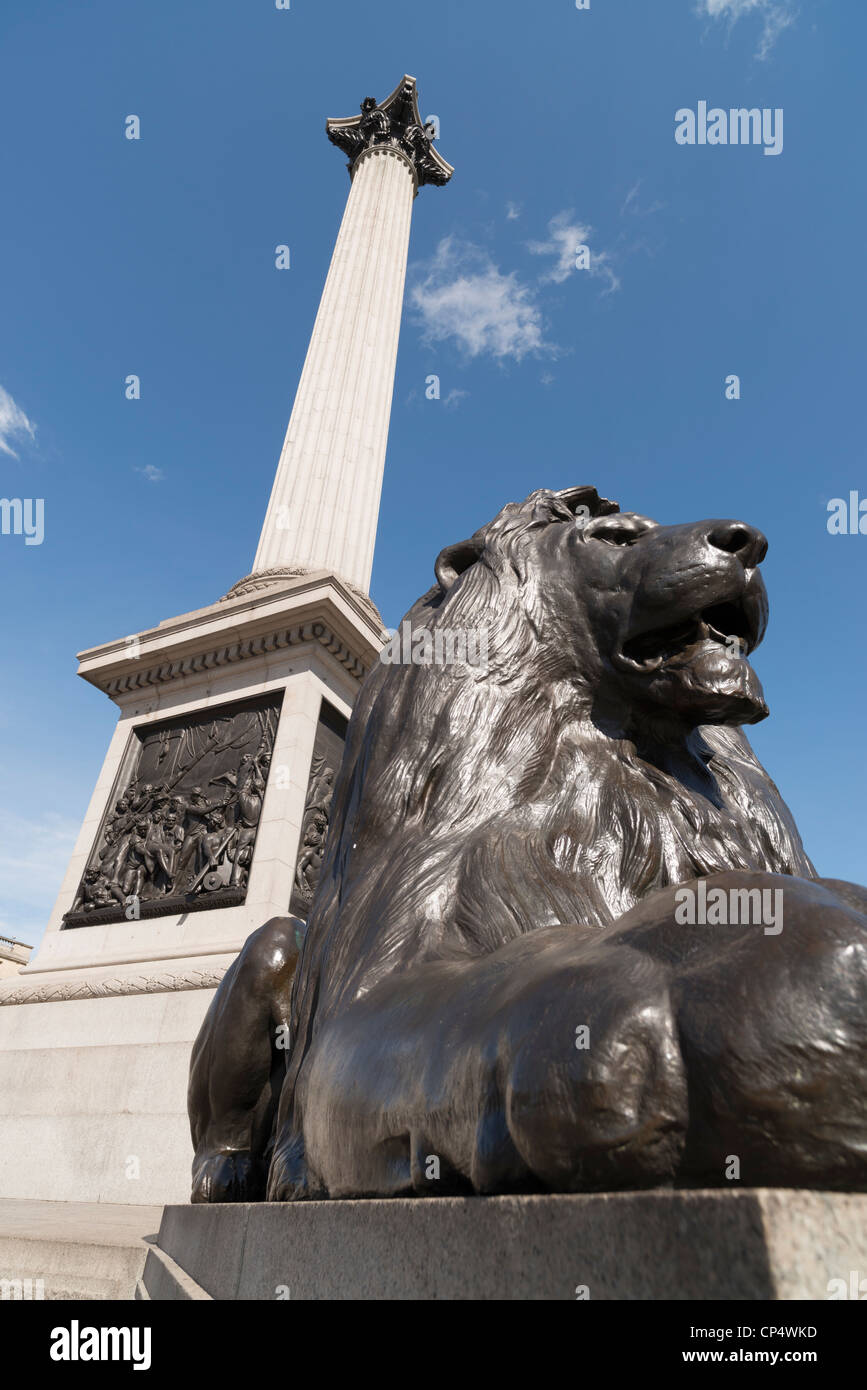 Nelson s Column And Lion At Trafalgar Square London UK Stock Photo Alamy nelson-s-column-and-lion-at-trafalgar-square-london-uk-stock-photo-alamy