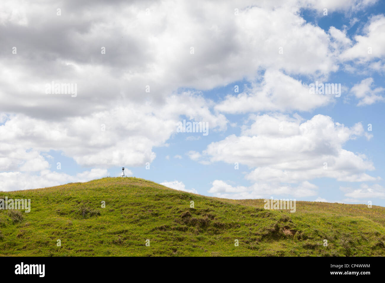 A pastoral scene with blue sky, fluffy clouds, and green grass fields in northern New Zealand Stock Photo