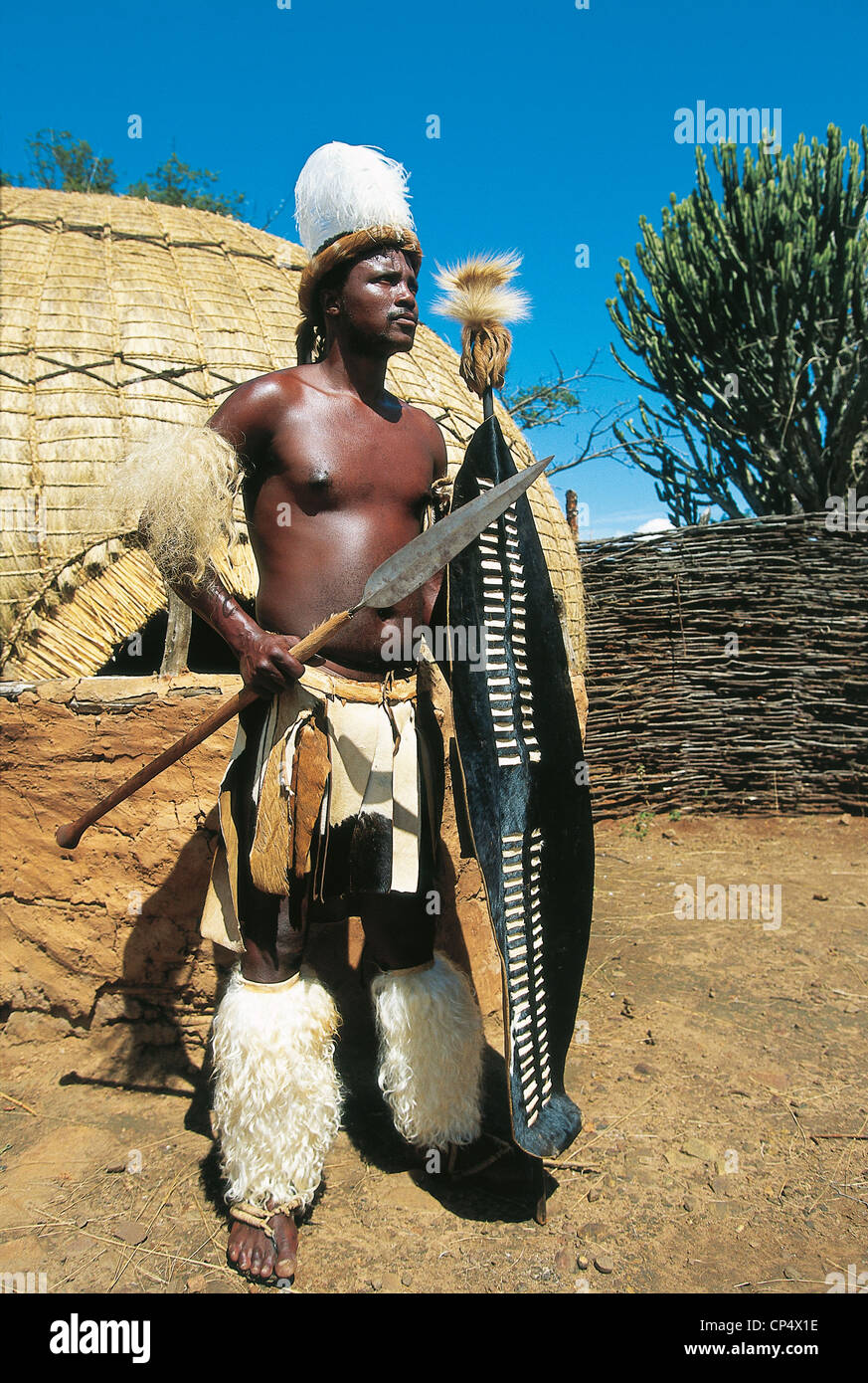 South Africa Simunye Zulu Warriors Fighting Stock Photo - Alamy