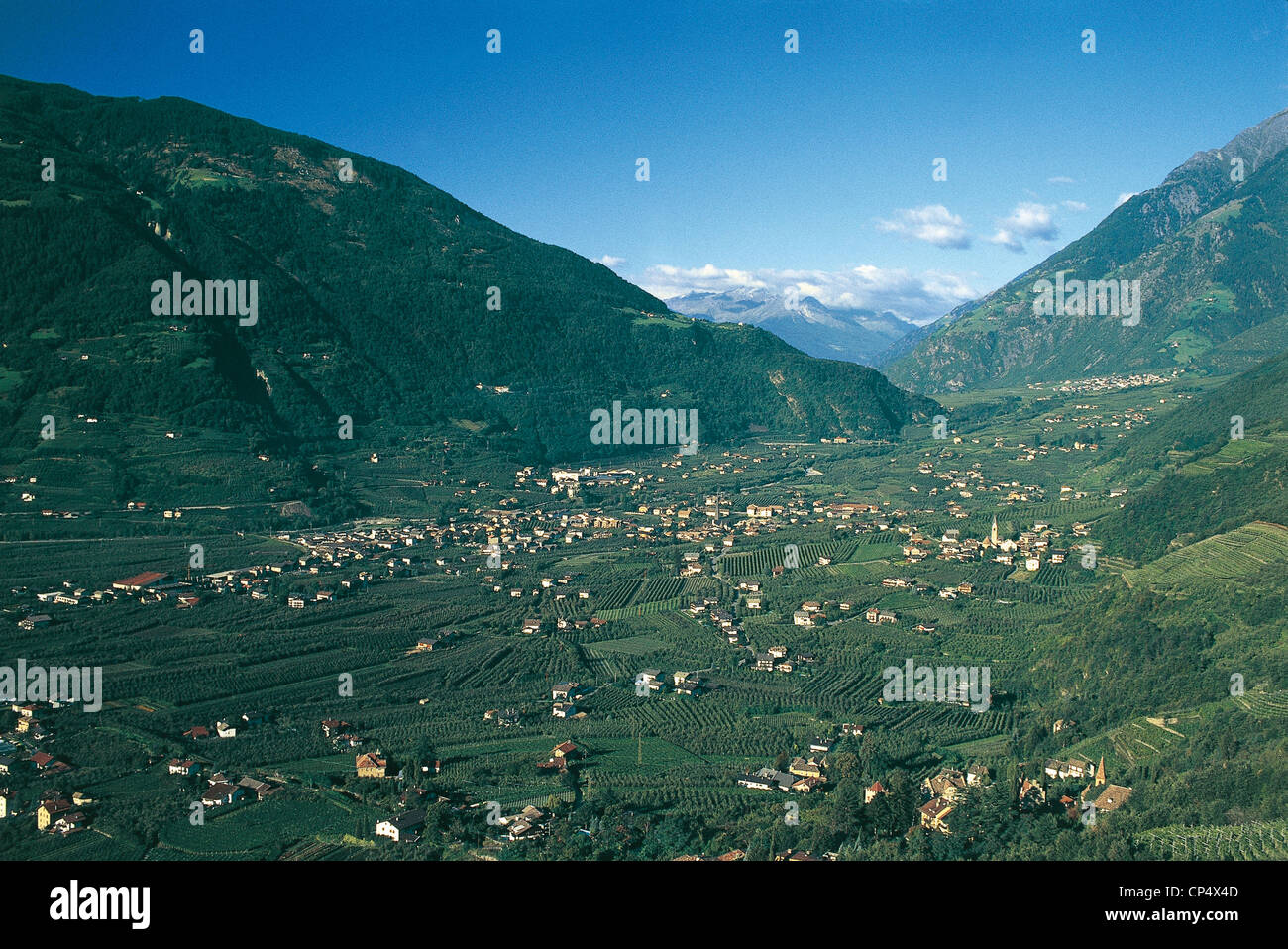 South Tyrol Val Venosta CLOTHING AND VINEYARDS Stock Photo Alamy