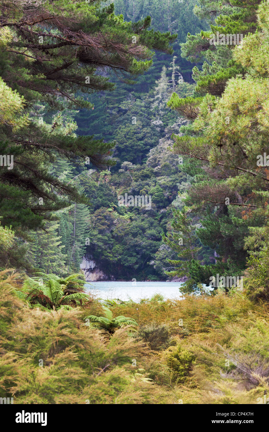 Whangioterangi (Echo Lake) within the Waiotapu area, North Island, New Zealand Stock Photo