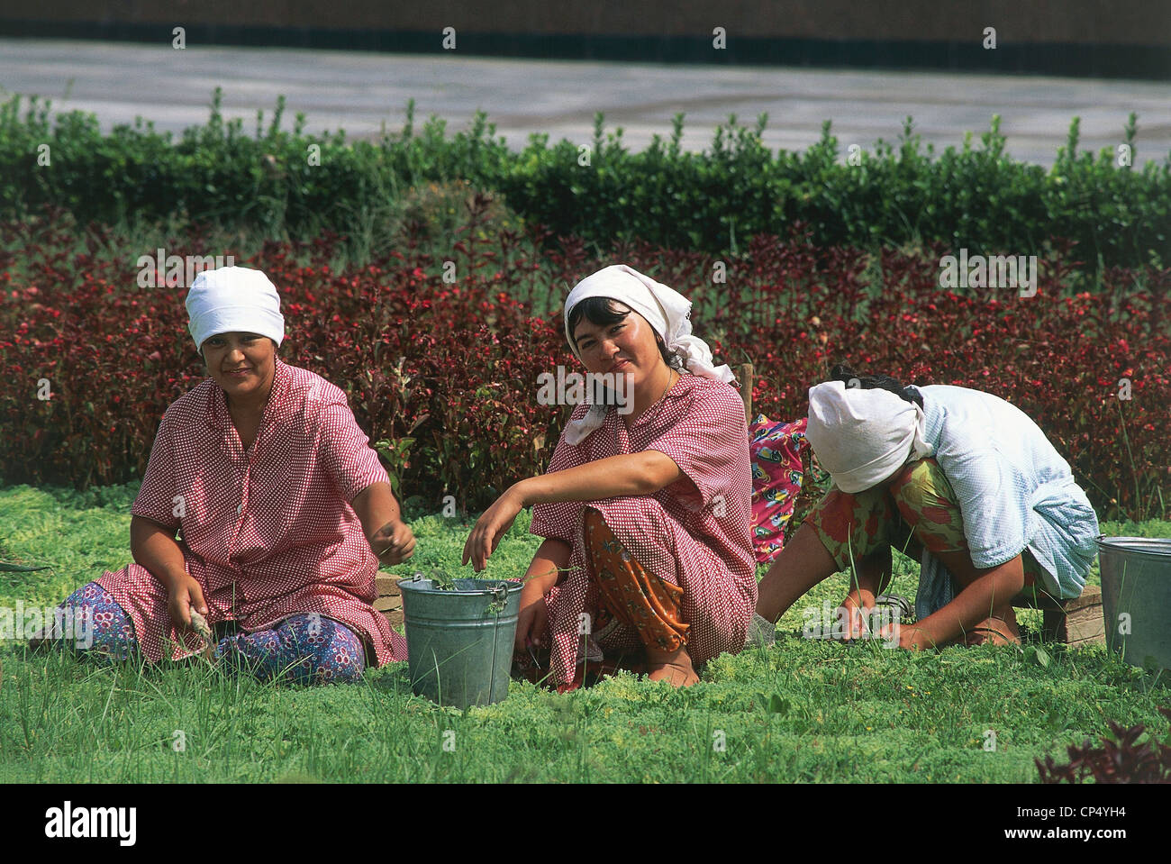 Uzbekistan (Ozbekistan) - Tashkent (Tashkent) - Women working in the