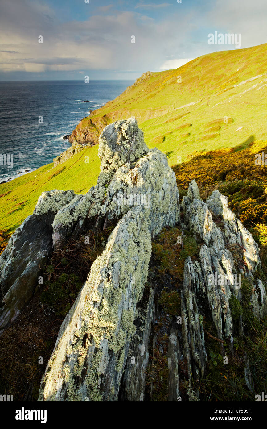 Start Point Cliffs Cliff path around Start Point the South Devon coast Stock Photo - Alamy