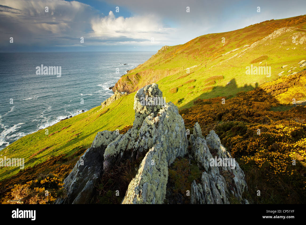 Start Point Cliffs Cliff path around Start Point the South Devon coast Stock Photo - Alamy