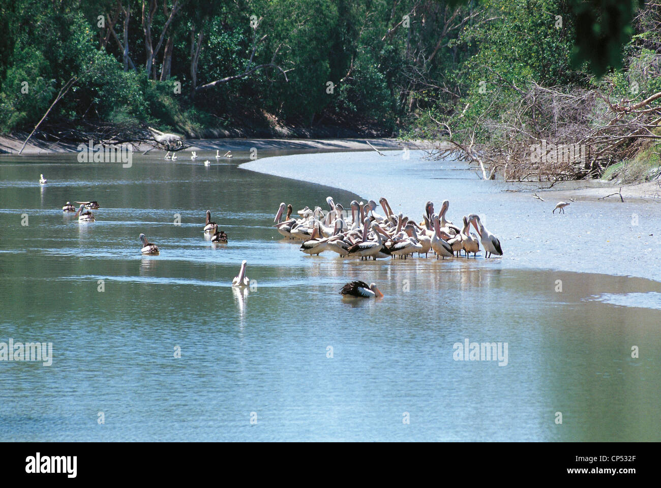 Arnhem Rivers Australia - Northern Territory - Arnhem Land. The Alligator River Stock ...