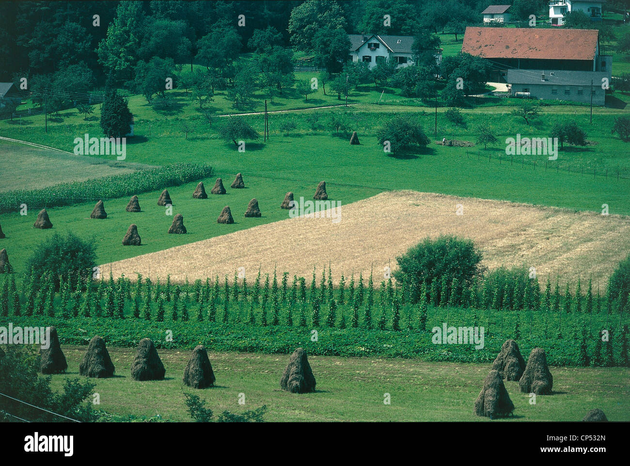 Austria - Styria - AROUND REIN. CAMPAIGN Stock Photo