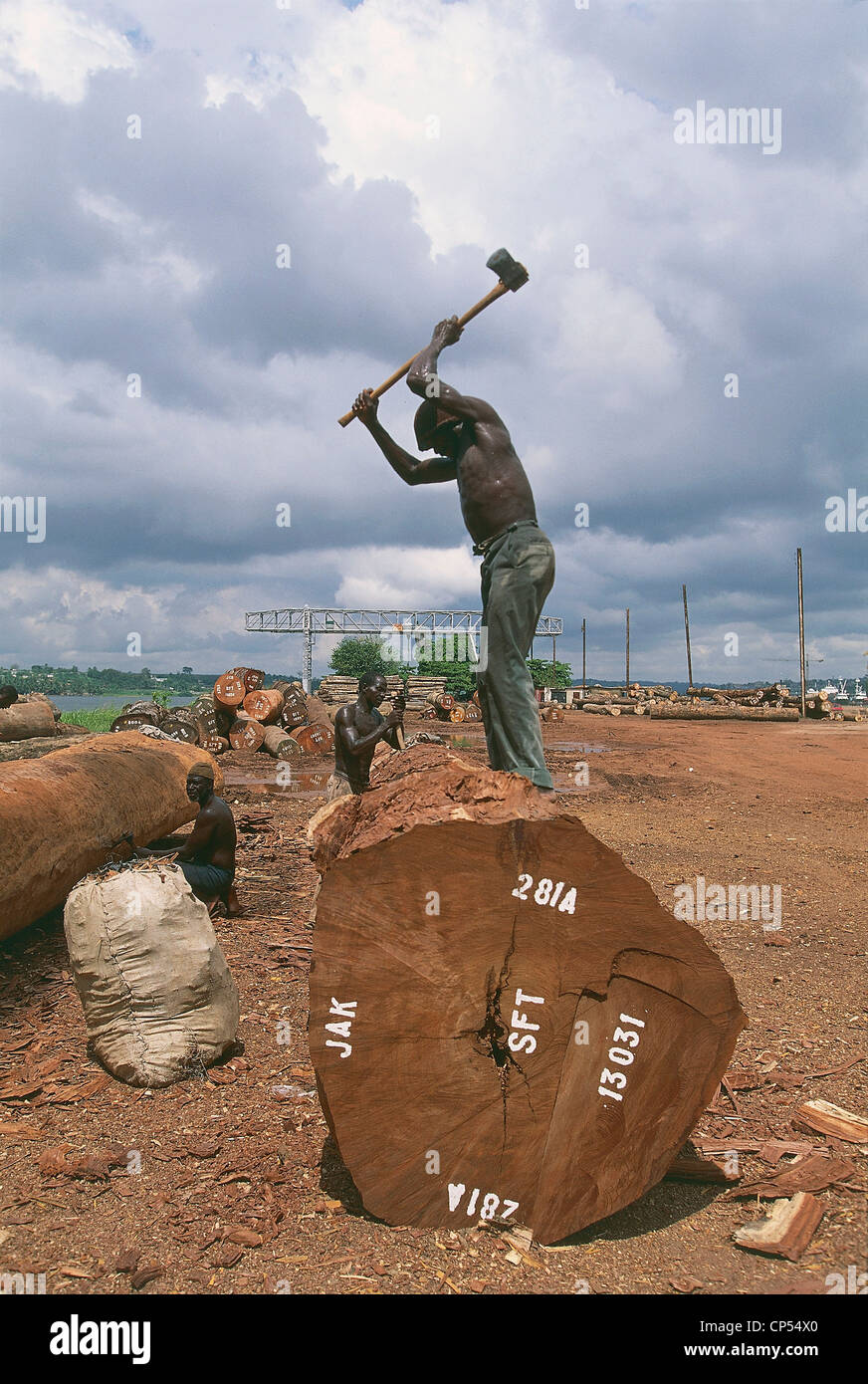Ivory Coast - Abidjan. Timber ready for export Stock Photo - Alamy