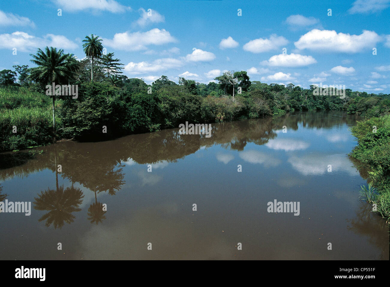 Cote d 'Ivoire Bafing River, in forest near Biankouma Stock Photo Alamy