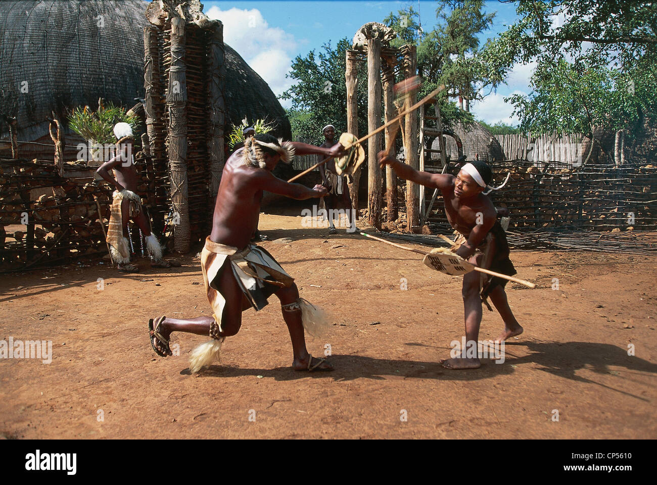 Zulu warriors stick-fighting, Shakaland, South Africa Stock Photo