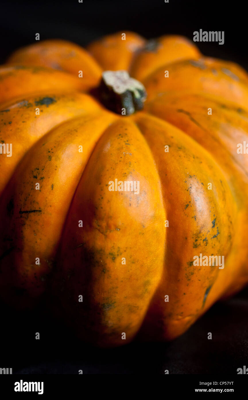 Close-up of a yellow orange Acorn squash, pepper squash, or Des Moines squash (Cucurbita pepo) from North America against a dark background. Stock Photo