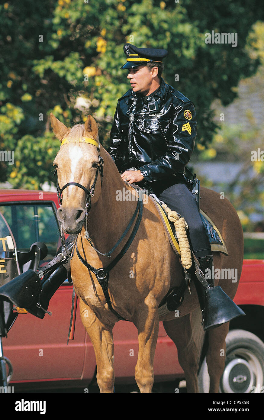 United States Of America Detroit Michigan Police Horse Stock Photo