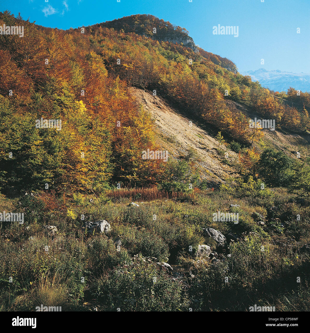 Parco nazionale della majella hi-res stock photography and images - Alamy