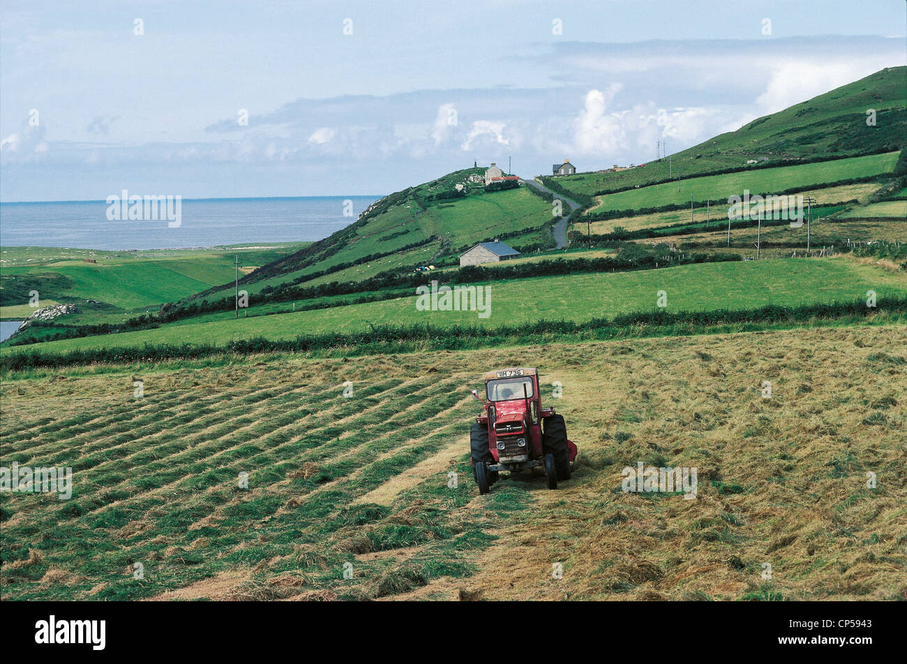 Ireland Donegal Farm Work Stock Photo Alamy