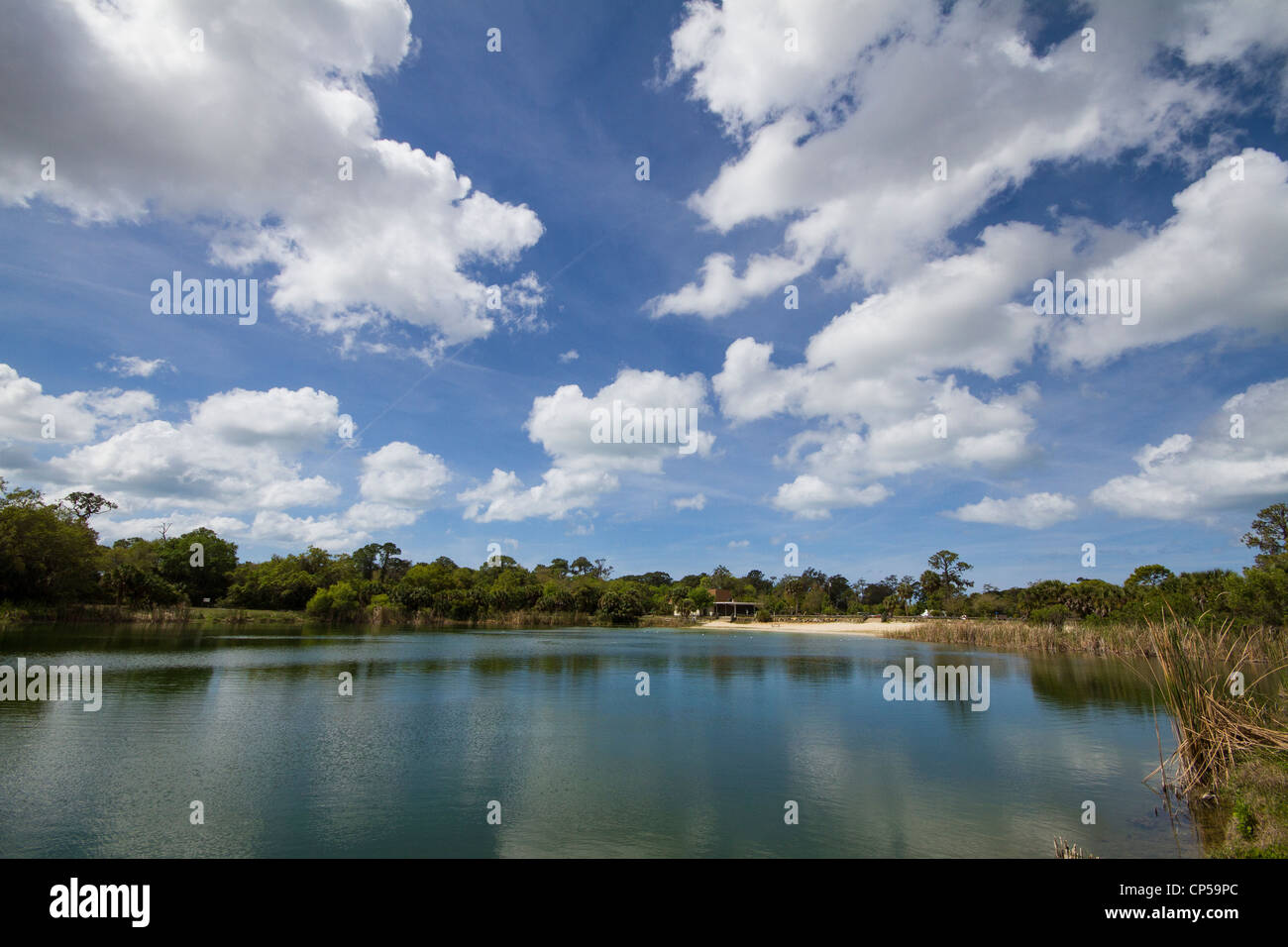 Oscar Scherer State Park - Osprey Lake - Florida Stock Photo - Alamy