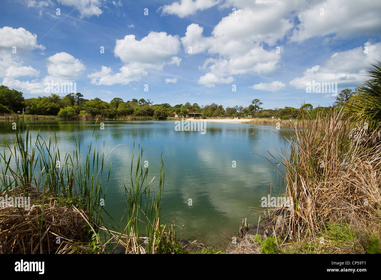 Oscar Scherer State Park - Osprey Lake - Florida Stock Photo - Alamy