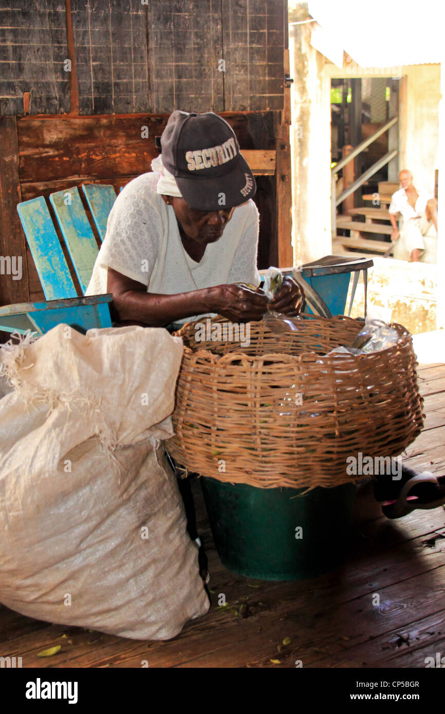 Woman bagging spices in Grenada Stock Photo - Alamy