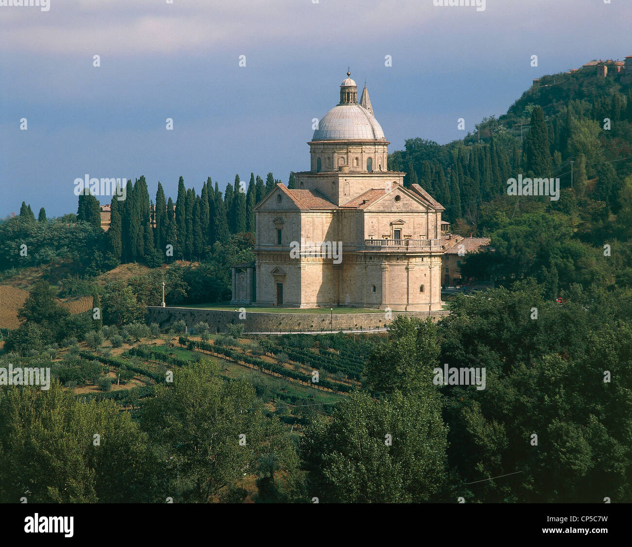 My Image 31