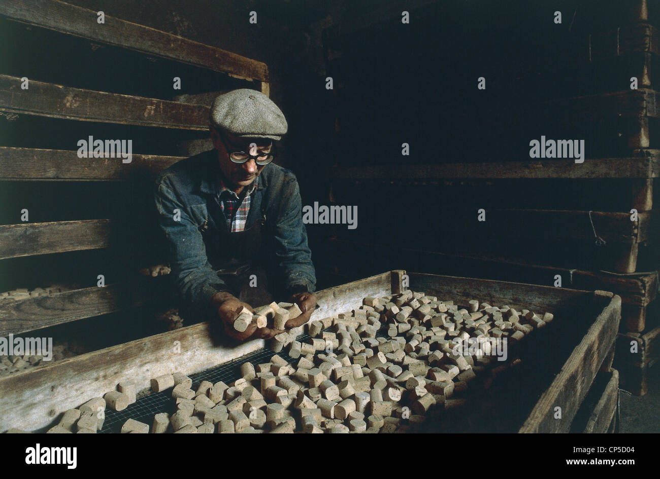 Sardinia - Calangianus (Ss). Cork processing, drying of cork stoppers for bottles. Stock Photo