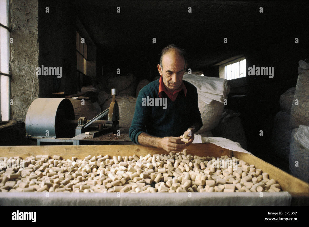 SARDINIA Calangianus SELECTION OF CORK STOPPERS IN A FACTORY Stock Photo