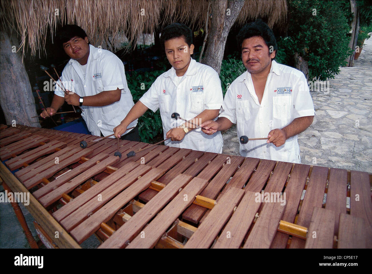 People musicians marimba hires stock photography and images Alamy