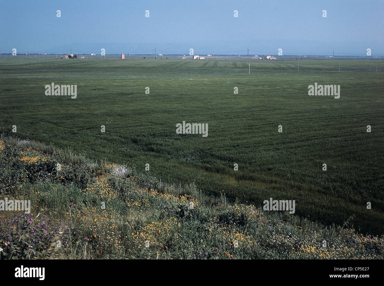 PUGLIA - Tavoliere, LANDSCAPE Stock Photo