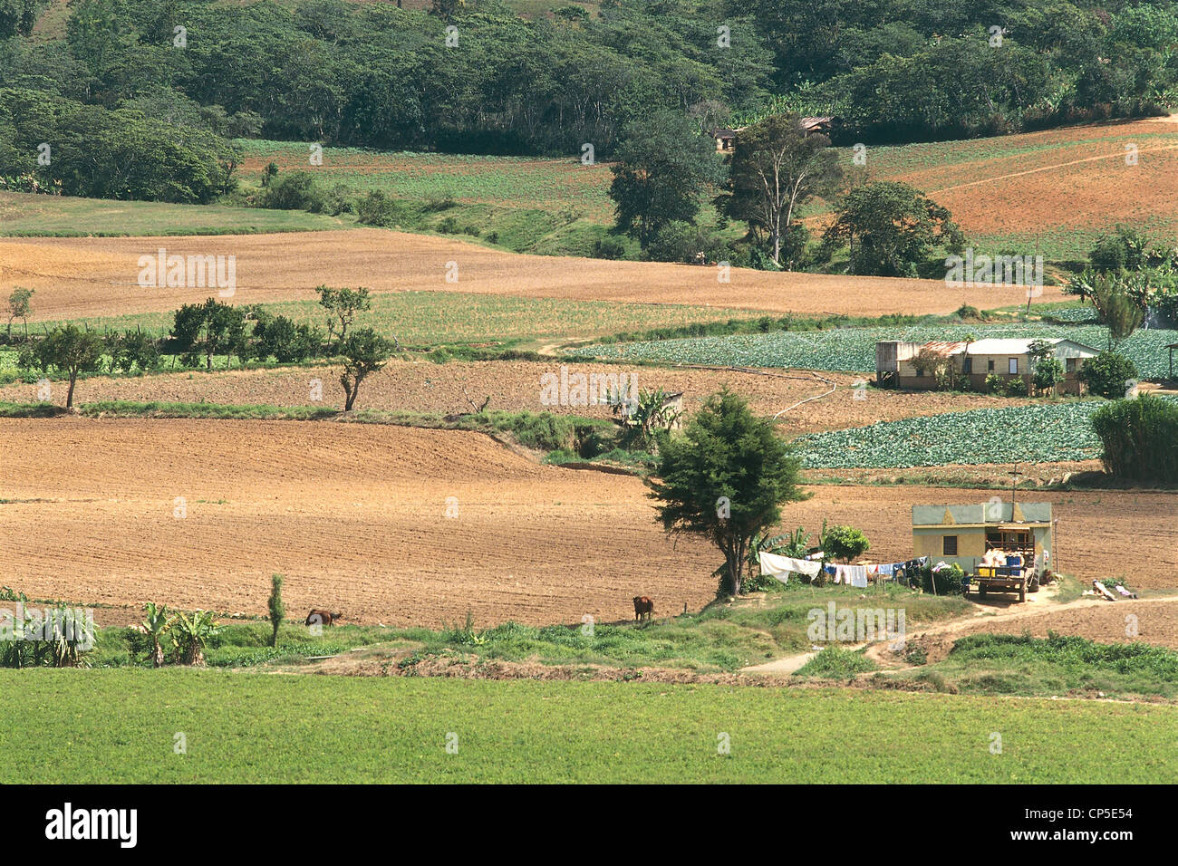 Dominican republic la vega province hires stock photography and images