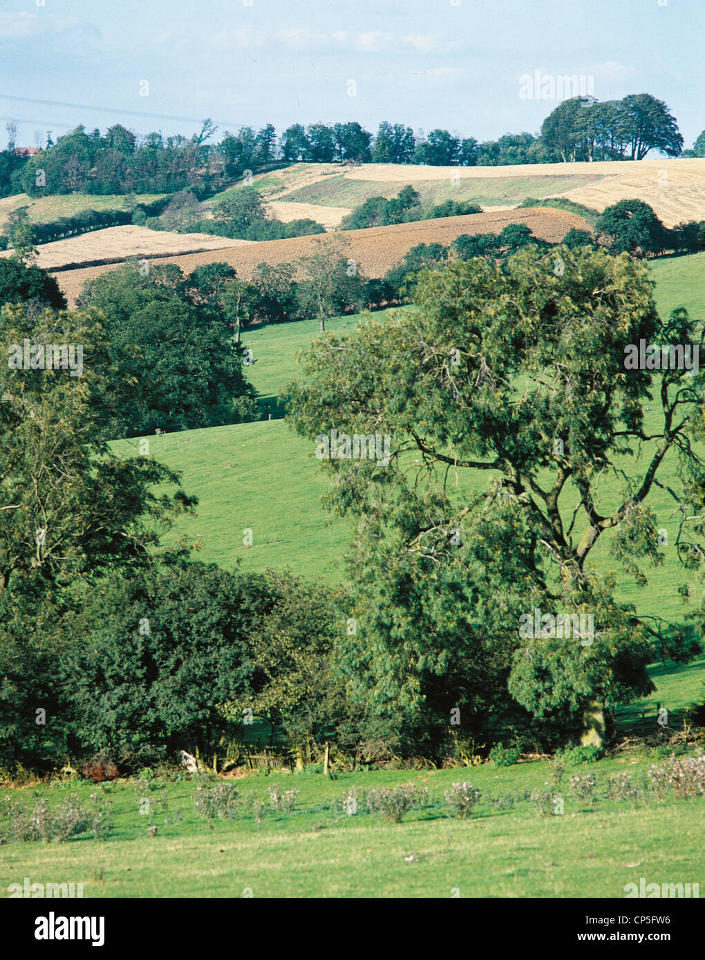 Bedfield Bedford United Kingdom Landscape Stock Photo - Alamy