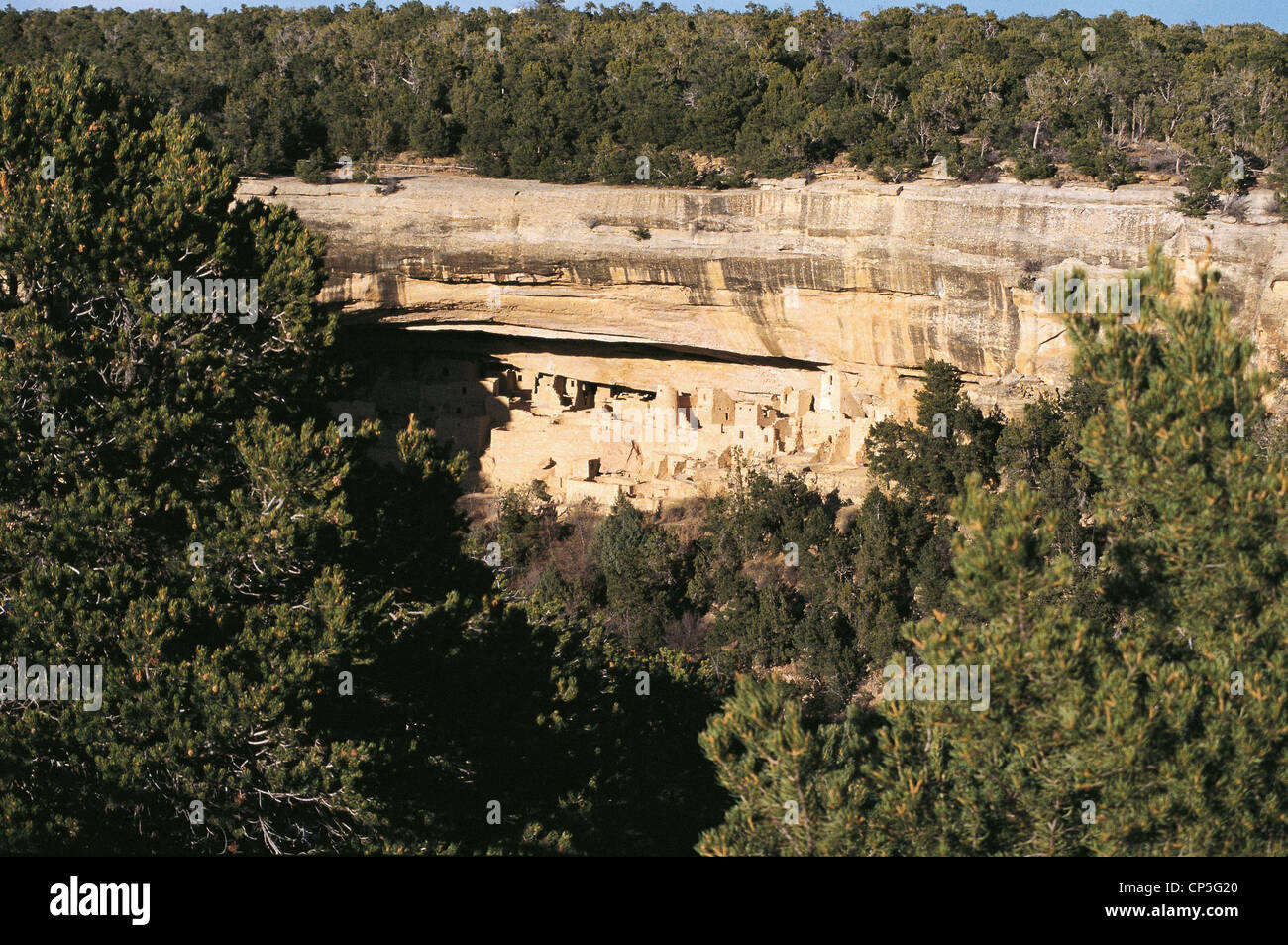 United States Natural Park Colorado Mesa Verde Cliff Palace Ruins Stock ...