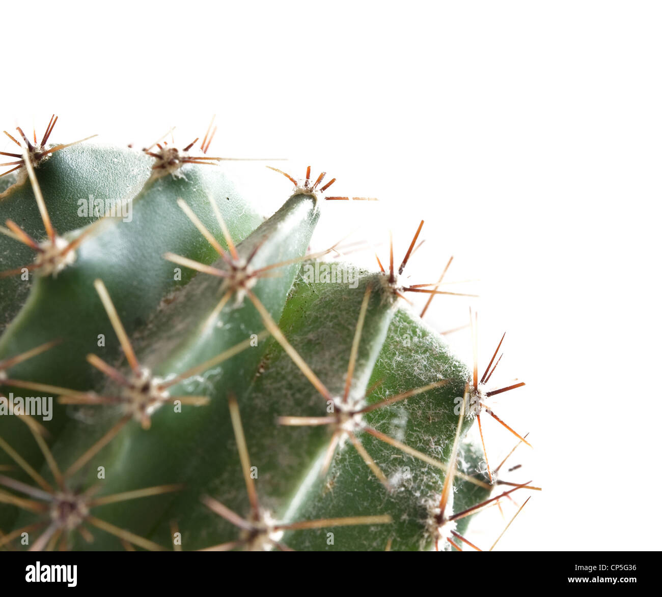 Healing plant hires stock photography and images Alamy