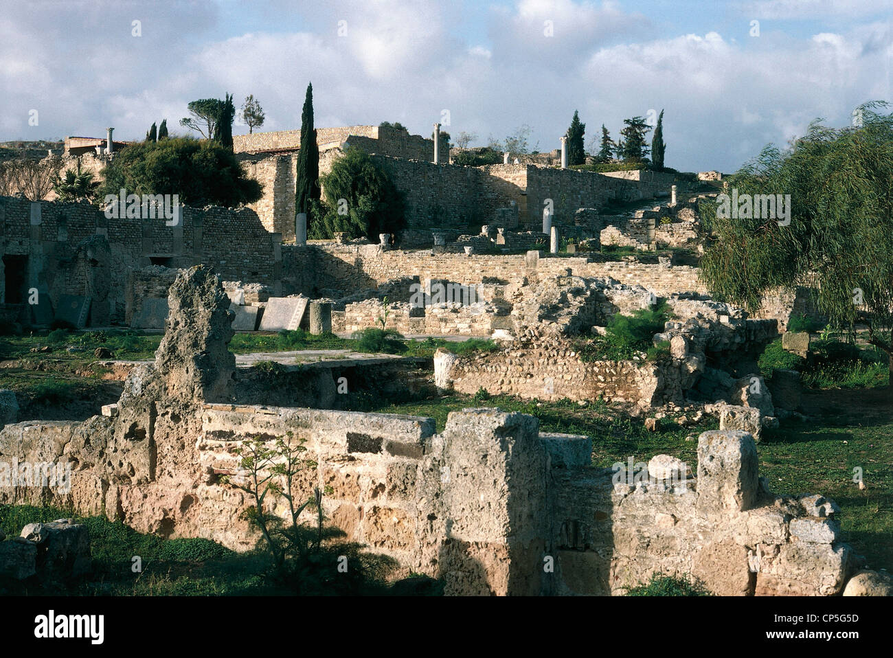 Tunisia - Carthage (Carthage), archaeological site (a World Heritage Site by UNESCO, 1979). Ruins. Stock Photo