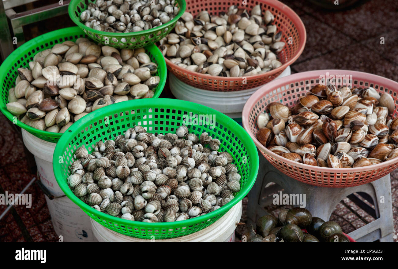 mussells cockles and shellfish for sale in ben thanh market Stock Photo