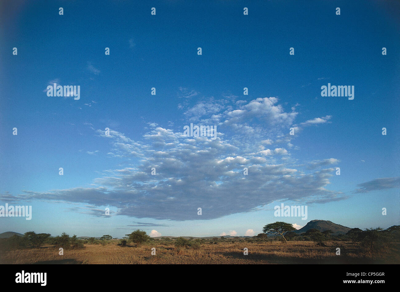 Parco africa hi-res stock photography and images - Alamy