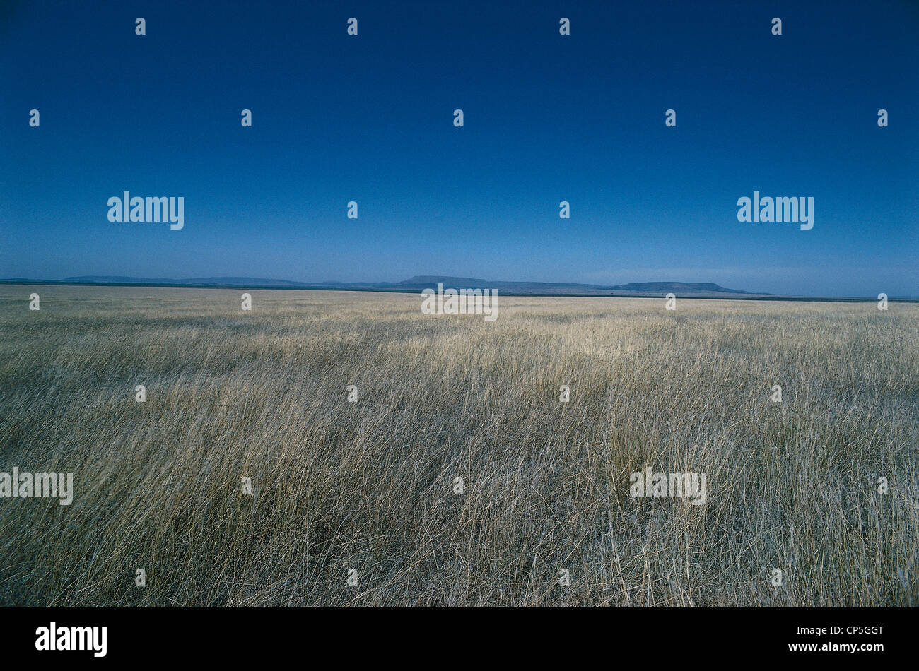 Parco africa hi-res stock photography and images - Alamy