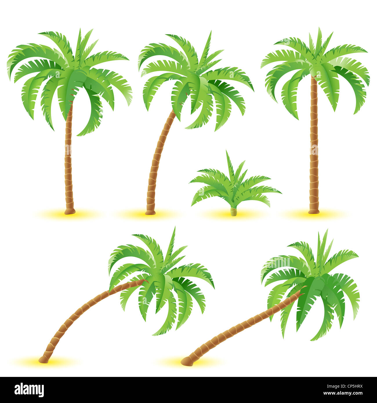 Coconut palms. Illustration on white background for design Stock Photo
