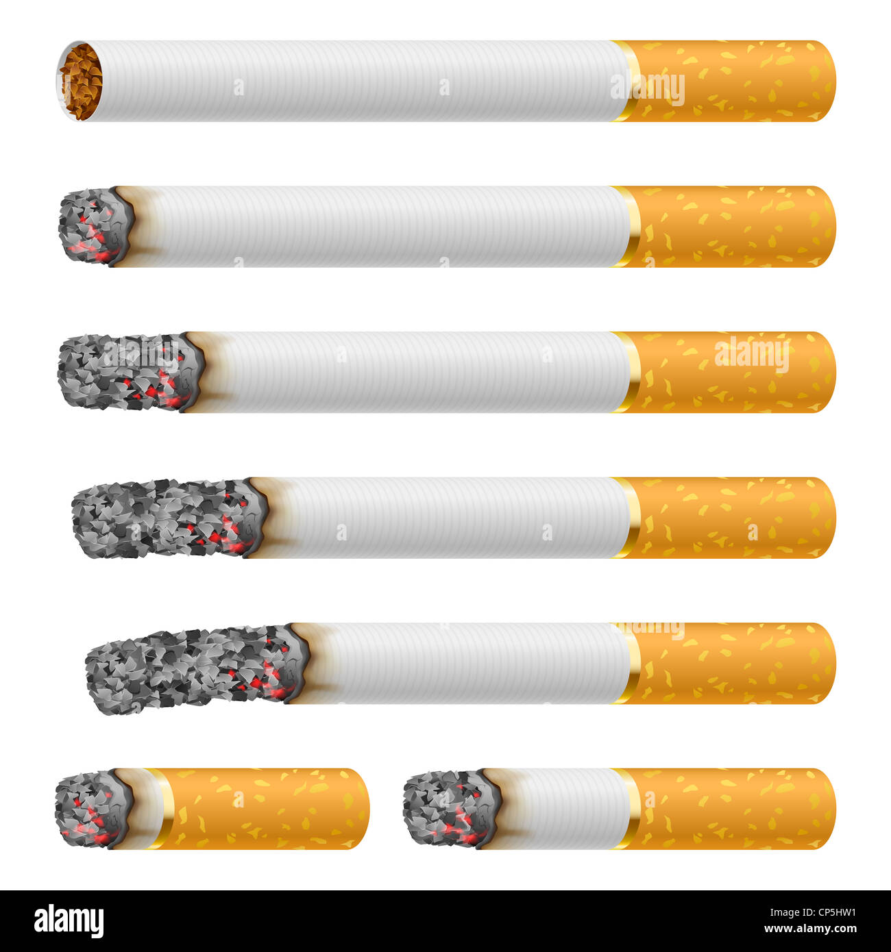 Set of Cigarettes During Different Stages of Burn. Each is isolated on