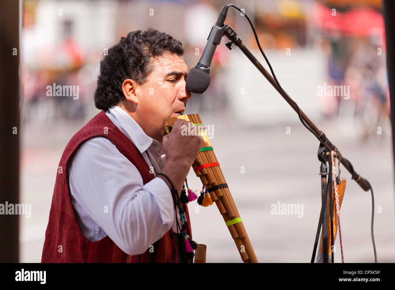 A South American panpipe player (Zampoñas flute player) Stock Photo