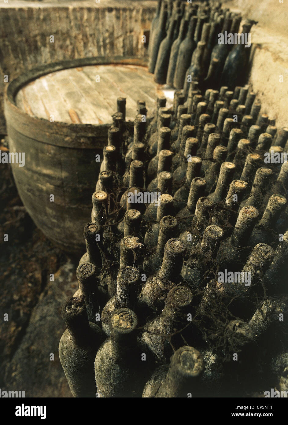 Tuscany - Maremma - Massa Marittima (Gr). The aging of bottles and barrels in the caves of the winery Moris Farms. Stock Photo