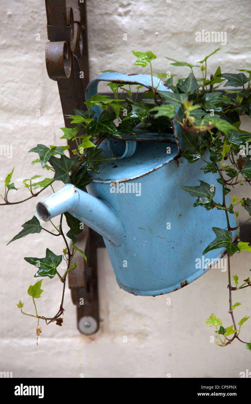 Metal Watering Can with Creeper Stock Photo