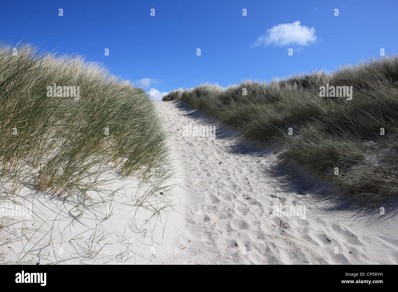Sandy path with footprints, bordered by marram grass, leading away from the beach Stock Photo