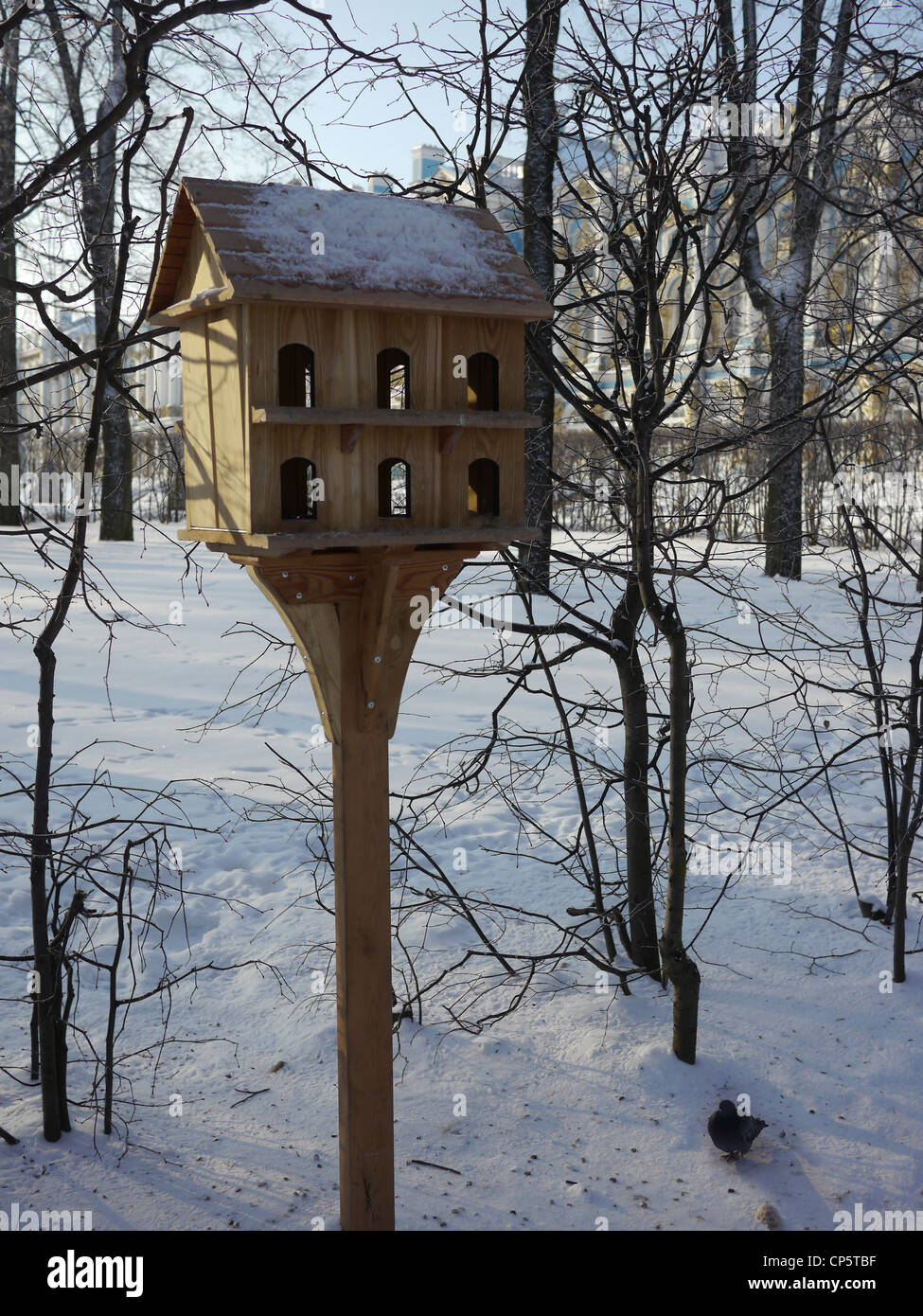 Saint Petersburg, Russia, Birdhouses are built to help the birds pass the harsh winters Stock Photo