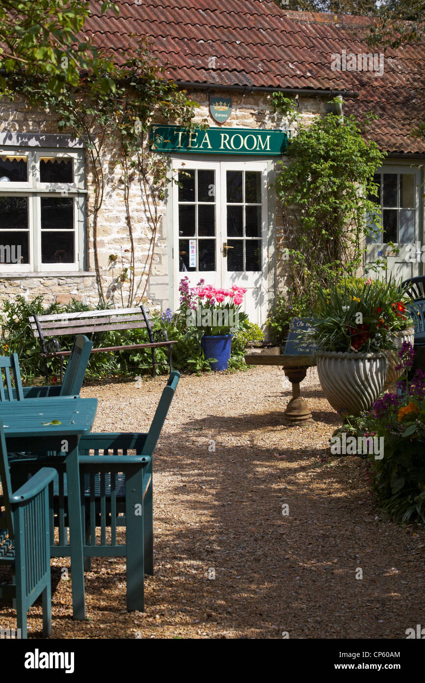 gardens of King John's Hunting Lodge Tea Rooms at Lacock, Wiltshire, UK in April Stock Photo
