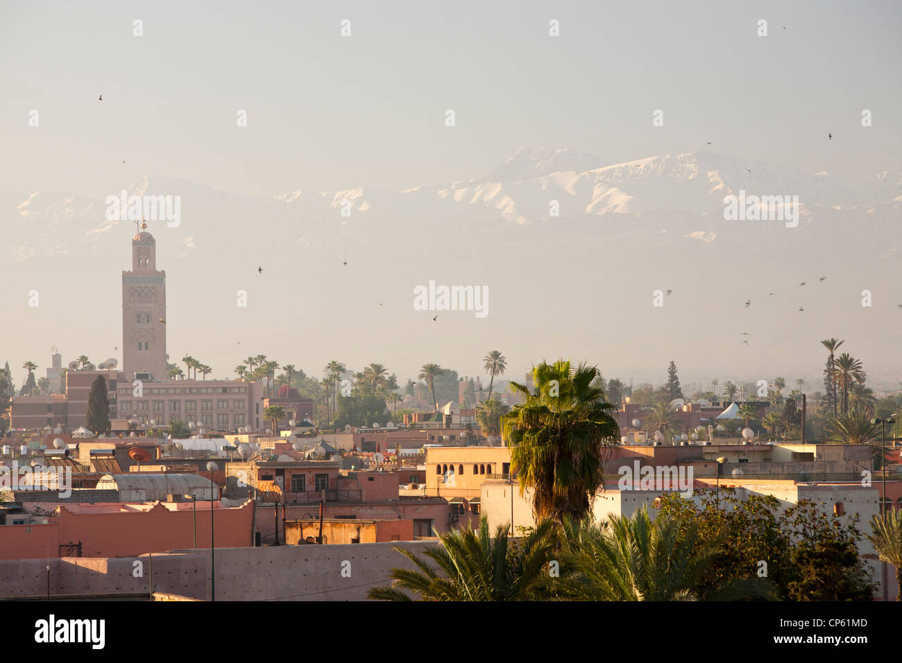 Air pollution from vehicle exhaust fumes hangs over Marrakech looking