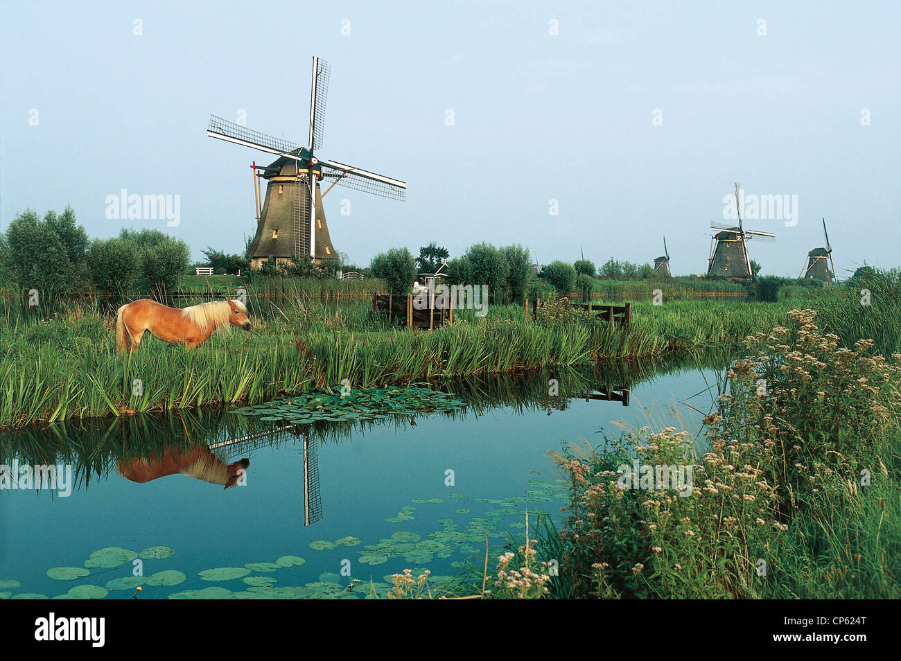 Netherlands - South Holland - Kinderdijk, windmills of the eighteenth century. Stock Photo