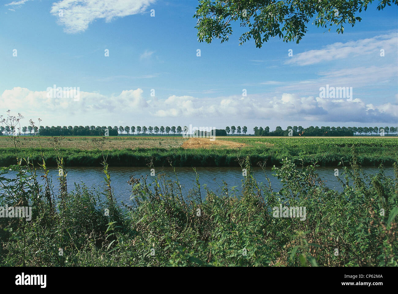 DUTCH POLDER SEARCH visual data 3