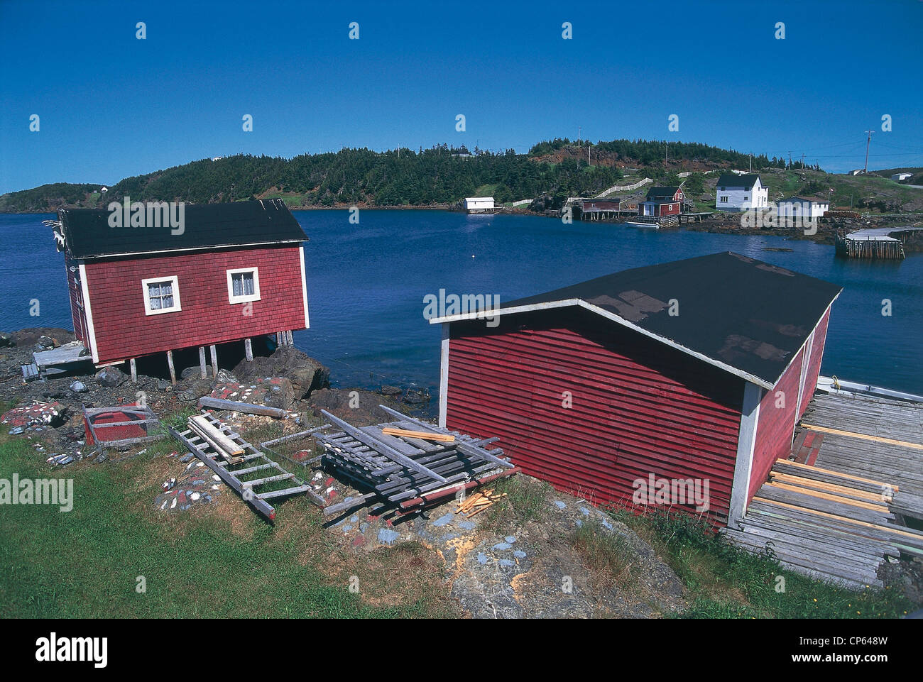 Canada - Newfoundland (Island of Newfoundland) - Twillingate. Stock Photo