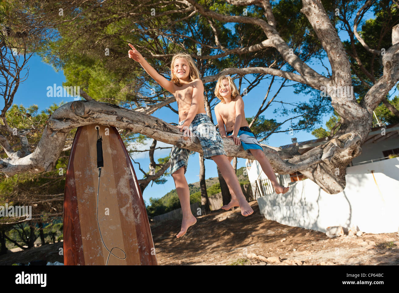Spain, Mallorca, Children sitting on tree Stock Photo