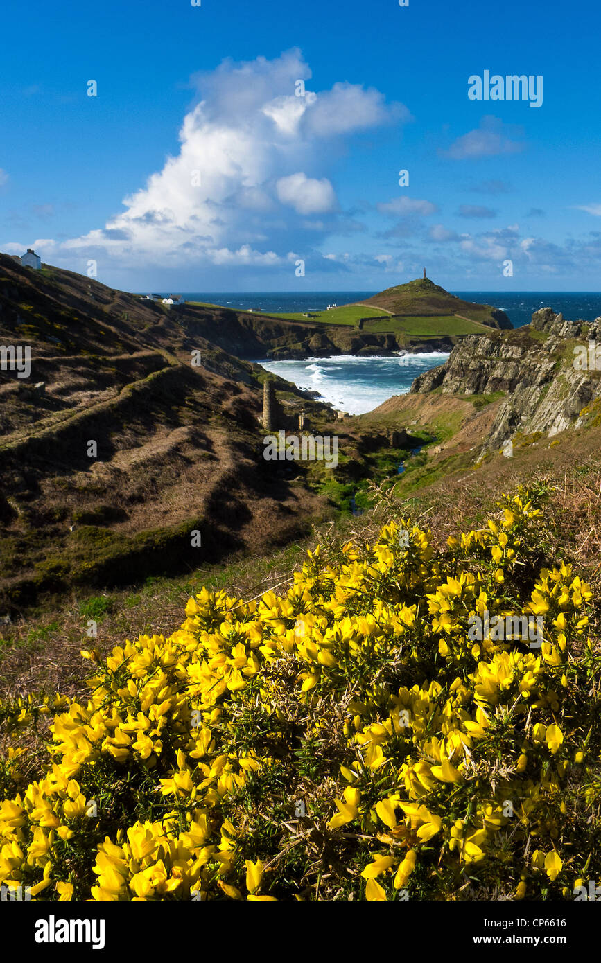 A view of Cape Cornwall from Kenidjack Valley with yellow flowering gorse in the foreground. Stock Photo